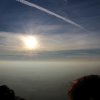IMG_1526